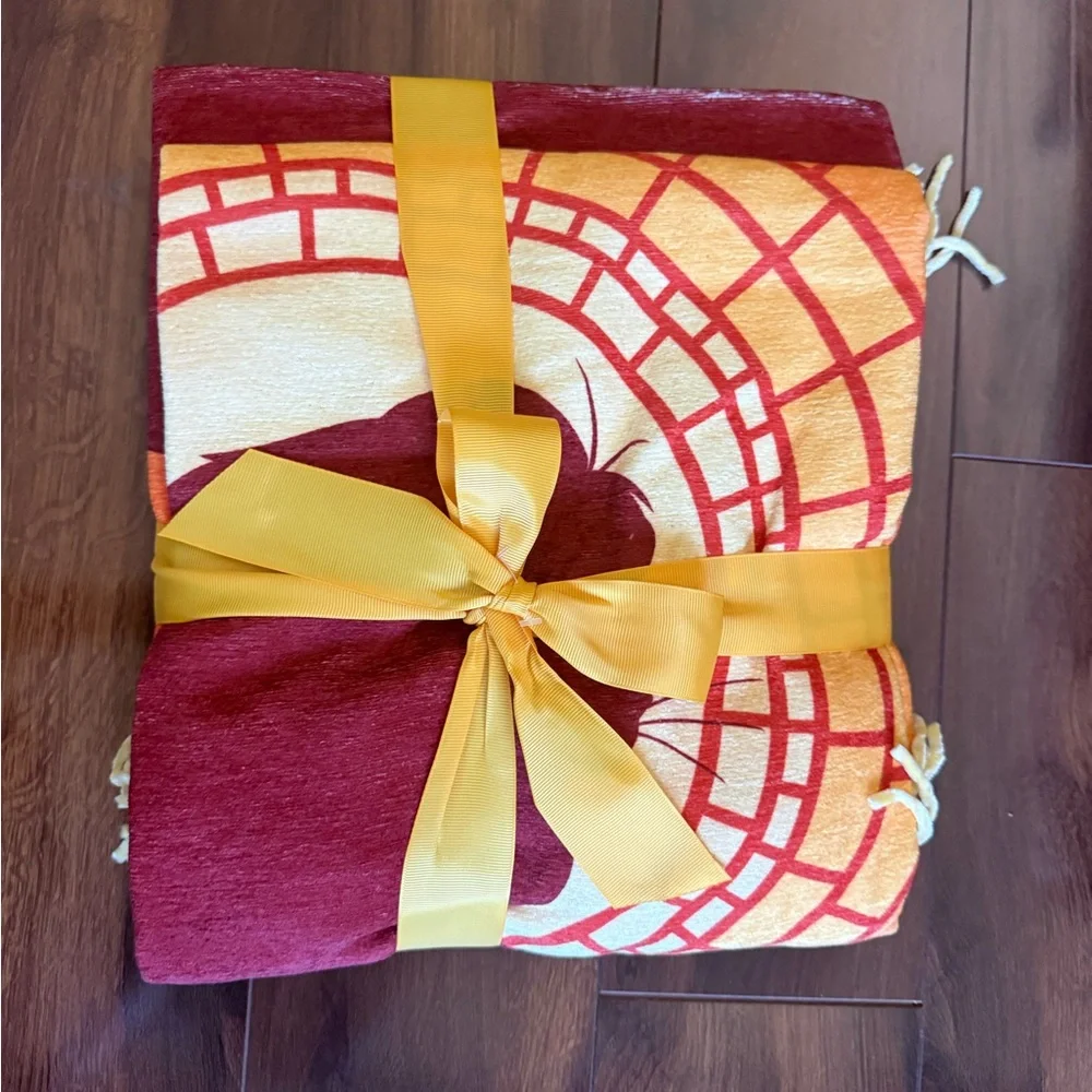 Disney Parks Lion King 30th Anniversary Throw/Blanket